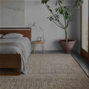 Modern Style Carpet for Living Room